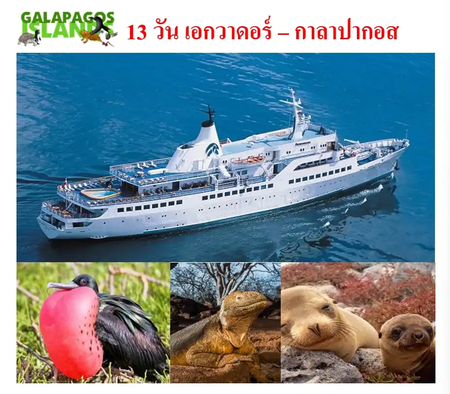 ทัวร์เอกวาดอร์ – กาลาปากอส 13วัน 10คืน (KL)
